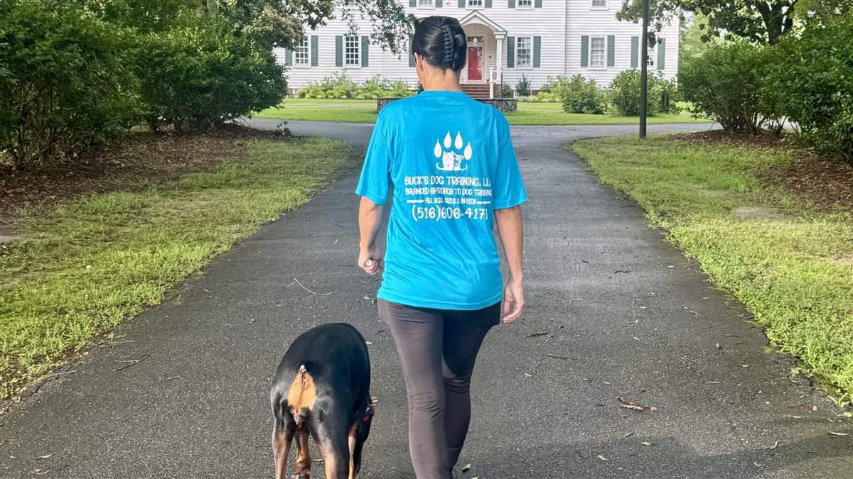 Service Dog Training for Veterans
