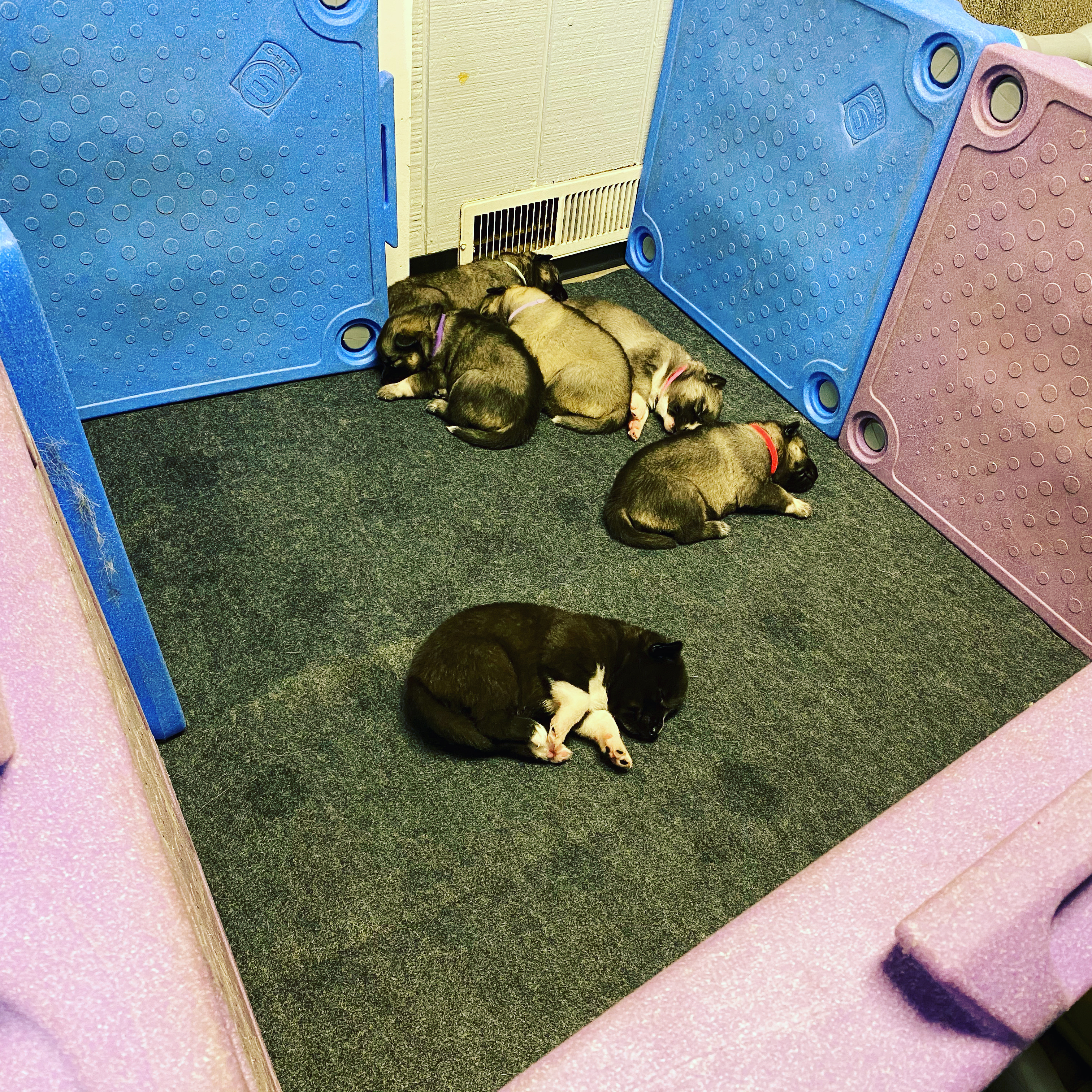 Boarding accommodations